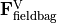 \VField{F}^{\mathrm{V}}_\mathrm{fieldbag}